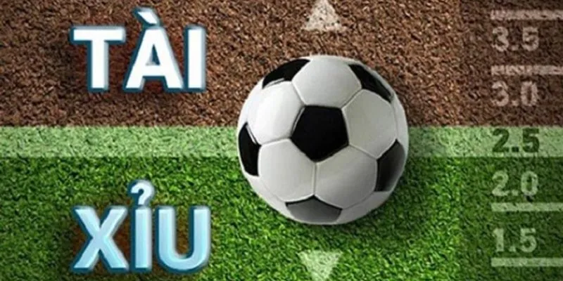 Tài Xỉu là loại hình kèo chọn cả trận được nhiều người săn đón
