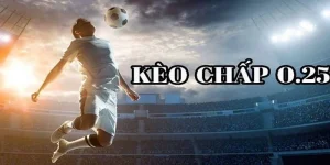 Kèo Chấp 0.25 Là Gì? Cách Đọc Kèo Có Ví Dụ Dễ Hiểu Nhất