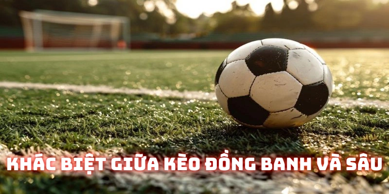 Phân tích sự khác biệt giữa đồng banh và kèo sâu