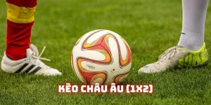 Cách đọc kèo Châu Âu (1X2) nhận diện kèo thơm