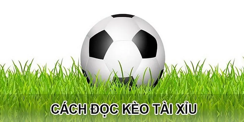 Cách xem tỷ lệ O/U đáng chú ý tại trận cầu lớn