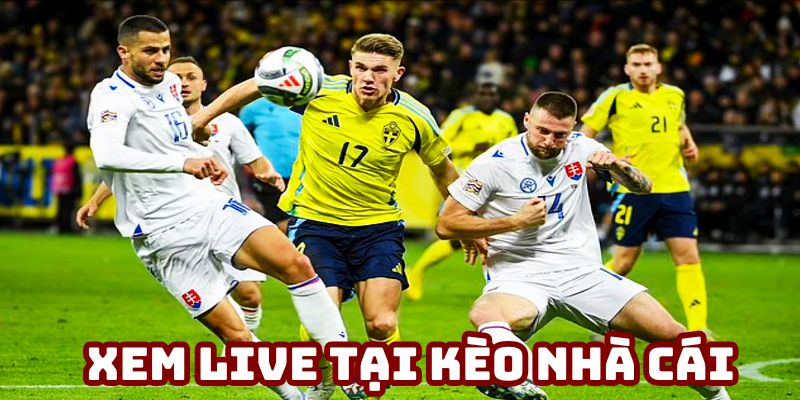 Xem bóng đá trực tiếp uy tín tại Kèo Nhà Cái