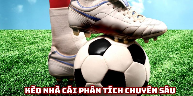 Kèo Nhà Cái mang đến phân tích chuyên sâu