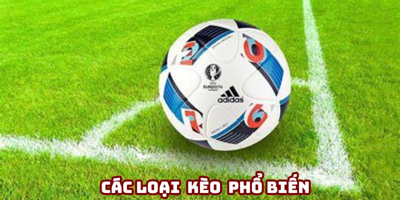 Kinh nghiệm và chiến lược soi tỷ lệ kèo hôm nay