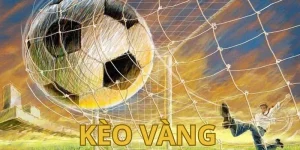 Tỷ lệ cược kèo vàng ổn định rõ ràng
